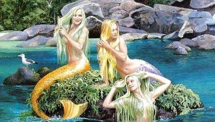 Mermaid Wishes