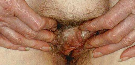 Unshaved snatch my old biotch josee