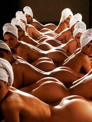 The Bible of Porn - Arses