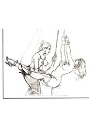 Trussed to satisfy II