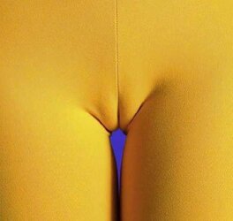 Camel Toes Gash