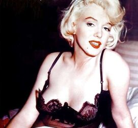 Gorgeous Celebs 14 Marylin (Fakes and Real) by TROC