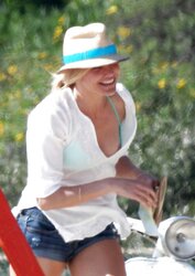 Cameron Diaz nipple slide