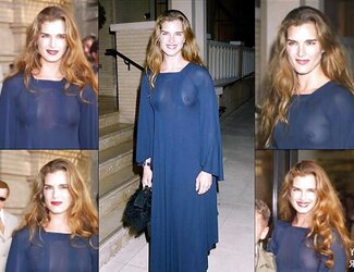 Brooke Shields Fakes