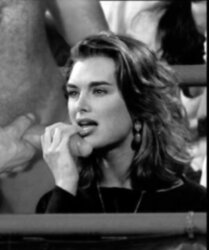 Brooke Shields Fakes