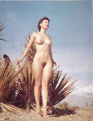 Vintage Erotica