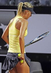 Maria Sharapova plus Fakes