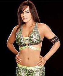 Wwe diva layla