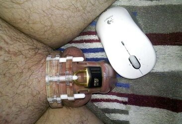 Fresh Chastity session