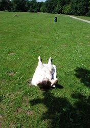 Zeigefreudig im Park , taunting at the public park