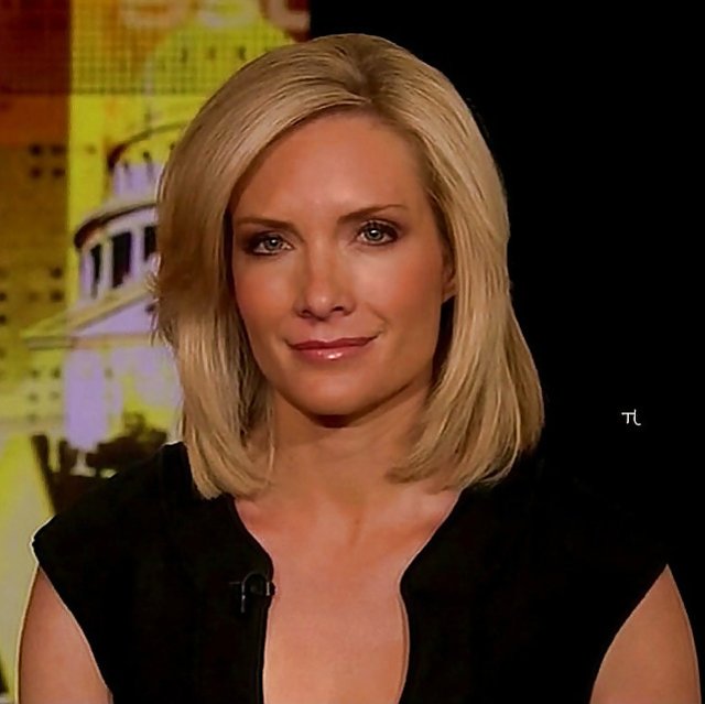 Dana Perino Luxurious Fakes Zb Porn 4528