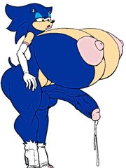 Sonic The Hedgehog - Herm