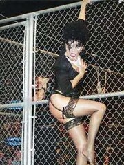 Sherri Martel