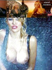 Moist pamela anderson